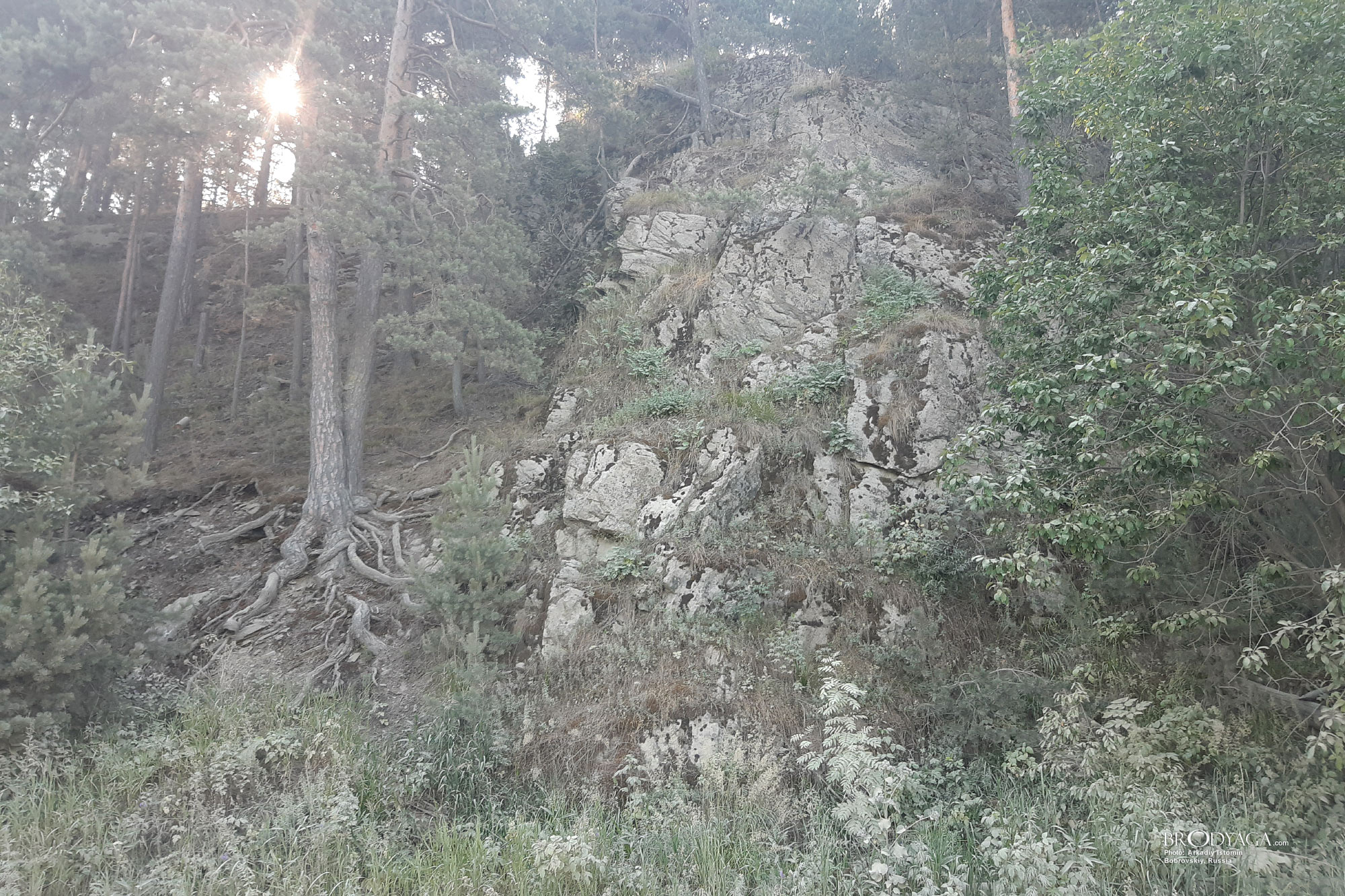 Bobrovskiy (Бобровский)